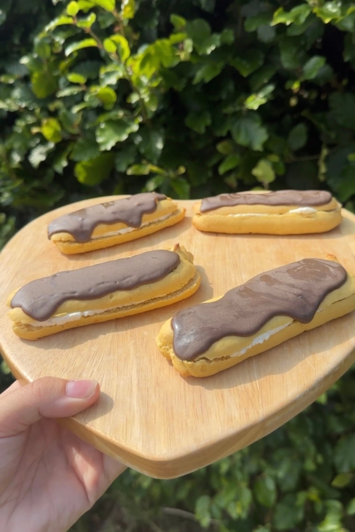 Luxury Dog Chocolate Eclairs (4 Pack)